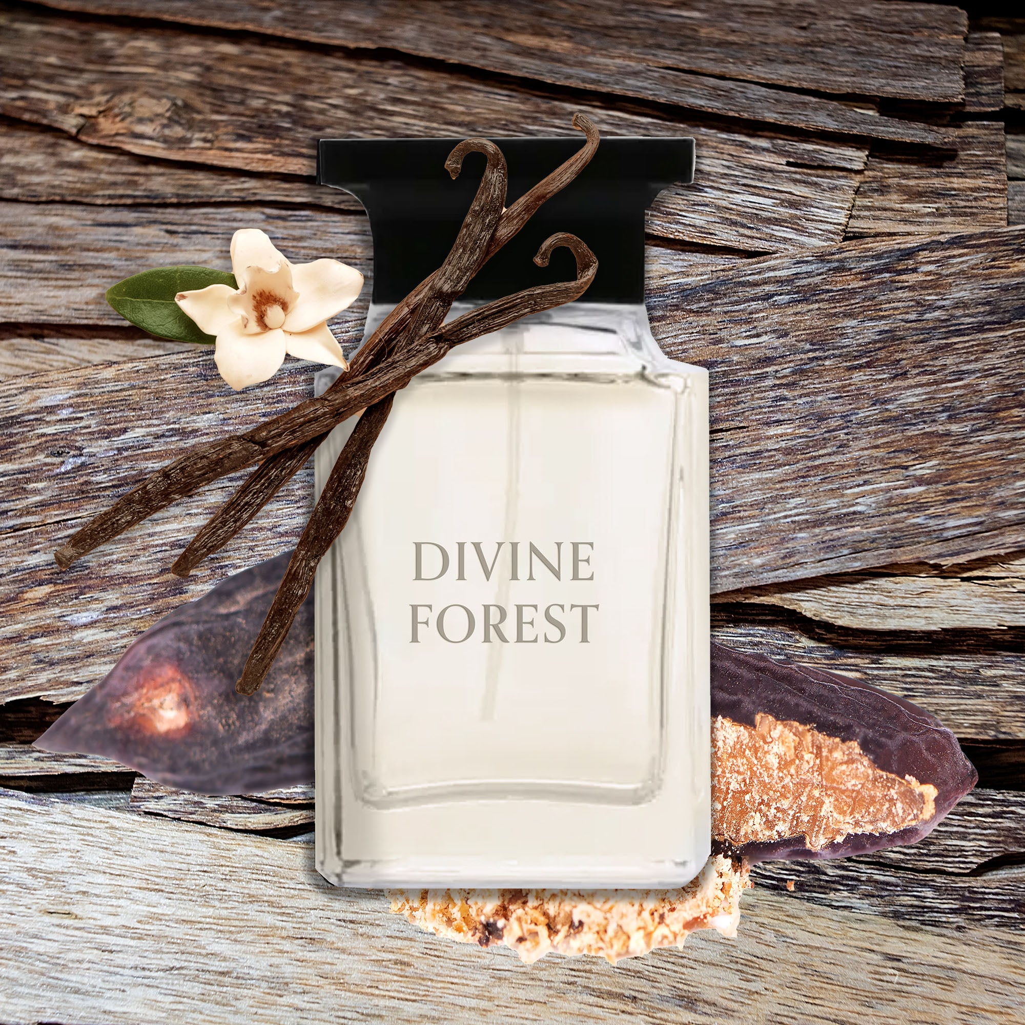 Divine Forest | Belcam Beauty
